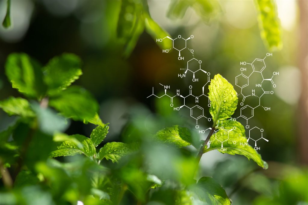estrazione con co2 supercritica